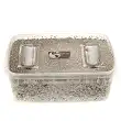 Pan American mushroom growing kit