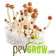 B+ mushroom cultivation kit