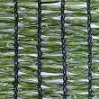 Mesh shaded growing marijuana