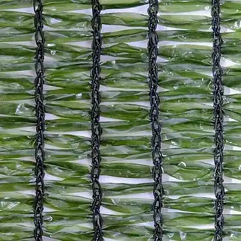 Mesh shaded growing marijuana