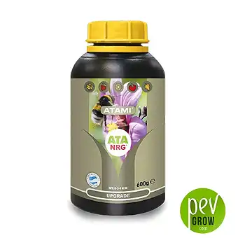 ATA NRG Upgrade Atami