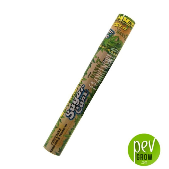 Cônes Cyclones Hemp
