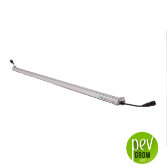 Led Flex Sanlight