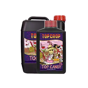 Top Candy 1