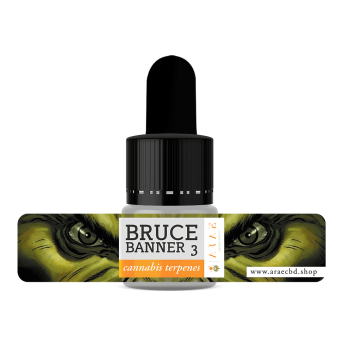 Bruce Banner 3 ARAE