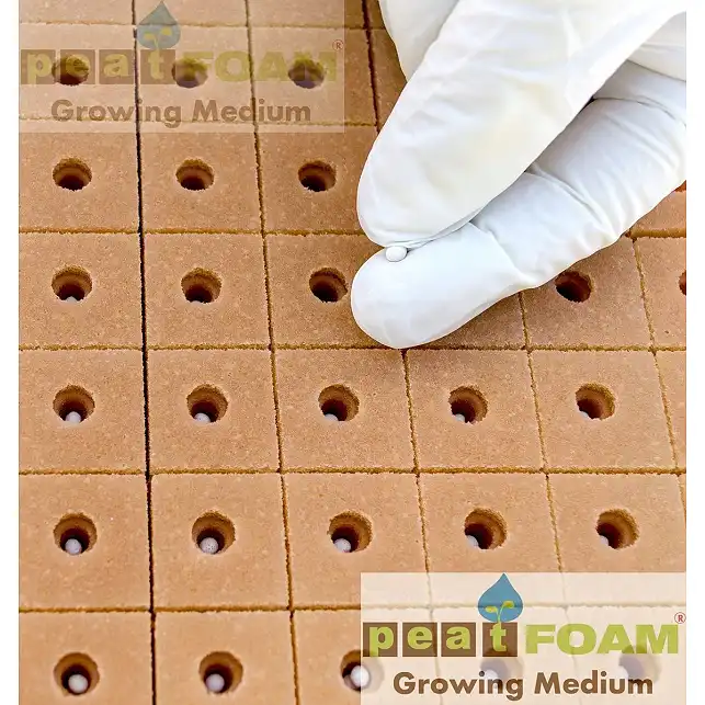Peat Foam Ecological Foam