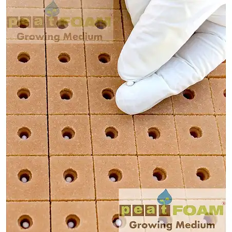 Peat Foam (Espuma Agrícola)