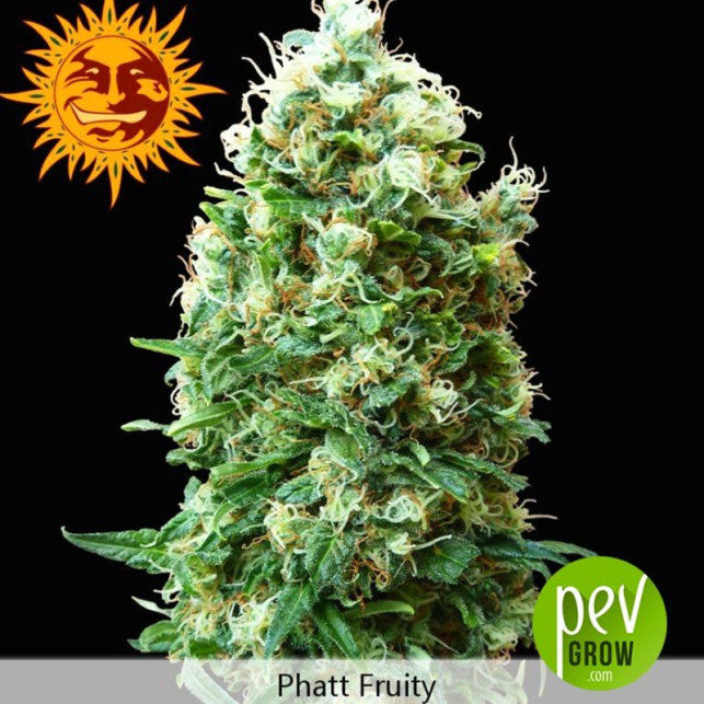 Phatt Fruity - Barneys Farm