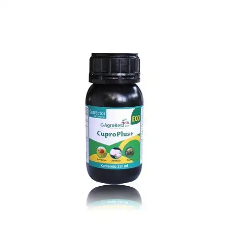 Cupro plus+ Eco