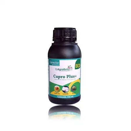 Cupro plus+ Eco 1