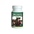 Cancerbero