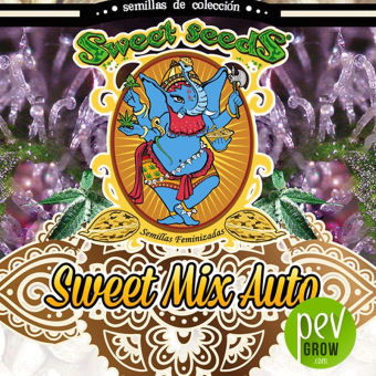 Sweet Mix Auto - Sweet Seeds