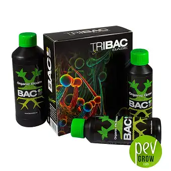 Tribac - BAC
