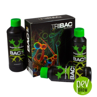 Tribac - BAC