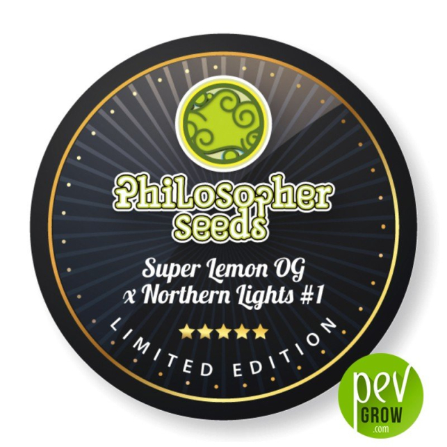 Super Lemon OG x Northern Lights - Philosopher Seeds