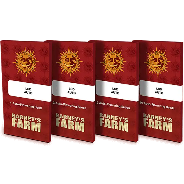 LSD Auto package - Barney's Farm
