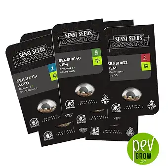 Sensi Seeds Research CBD