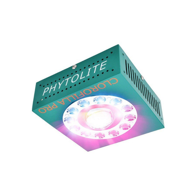 Phytoled Chlorophylle