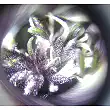 BlackBerry FastBuds BlackBerry FastBuds