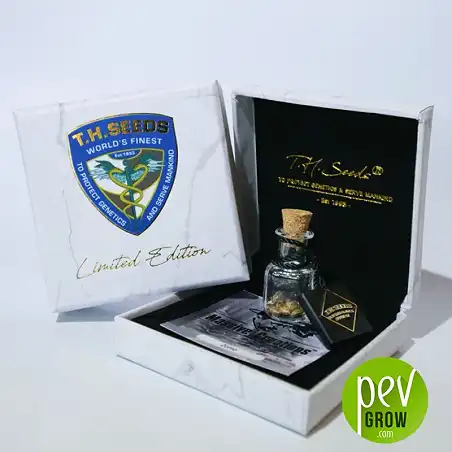 Black Apple Hitchcock packaging - TH Seeds