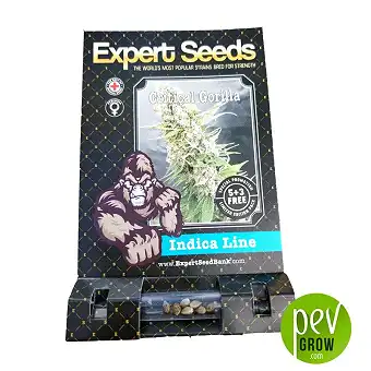 Gorilla Critical - Expert Seeds