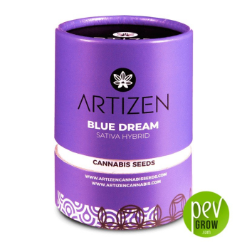 Blue Dream - Artizen - Artizen Seeds