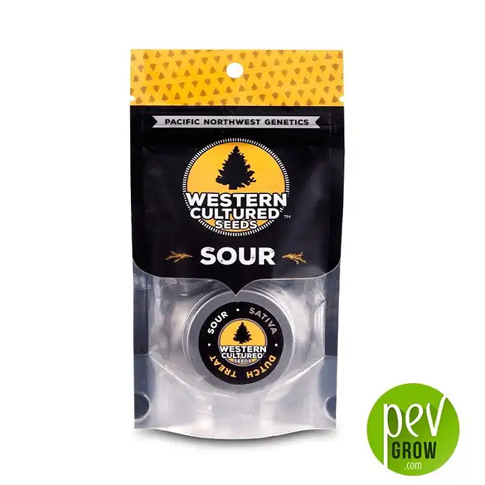 Dutch Treat – Sour - Western Cultured Seeds - Western Culture Seeds