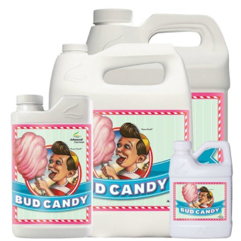 Bud Candy 2