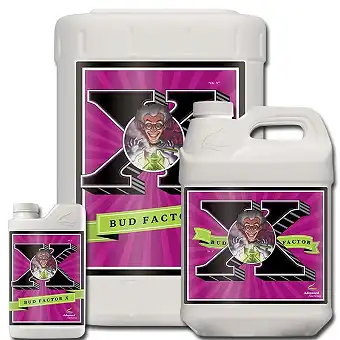 Bud Factor X 2