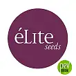 Sologerol Auto - Elite Seeds Sologerol Auto - Elite Seeds