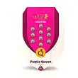 Purple Queen - Sweet Seeds package - Royal Queen Seeds