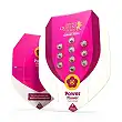 Power Flower - Royal Queen Seeds 3 Power Flower - Royal Queen Seeds 3