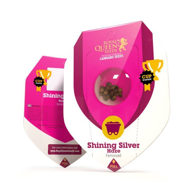 Shining Silver Haze - Royal Queen Seeds