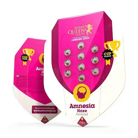 Amnesia Haze - Royal Queen Seeds