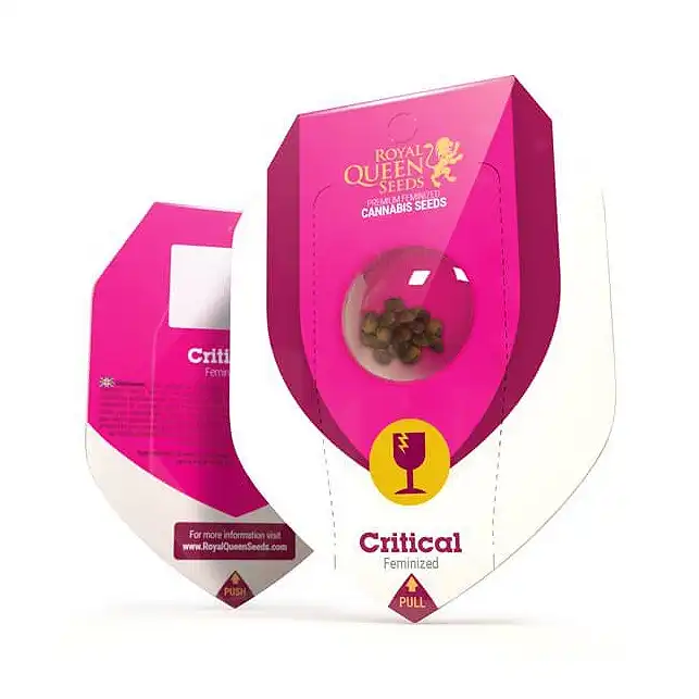 Critical - Royal Queen Seeds 3