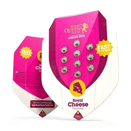 Royal Cheese Fast Version - Royal Queen Seeds 1