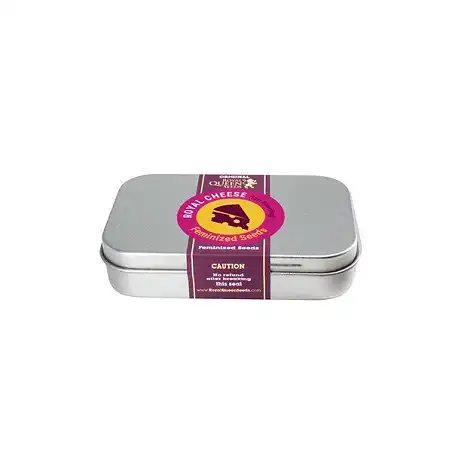 Royal Cheese Fast Version - Royal Queen Seeds 3