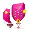 Honey Cream Fast Version - Royal Queen Seeds 2 Honey Cream Fast Version - Royal Queen Seeds 2