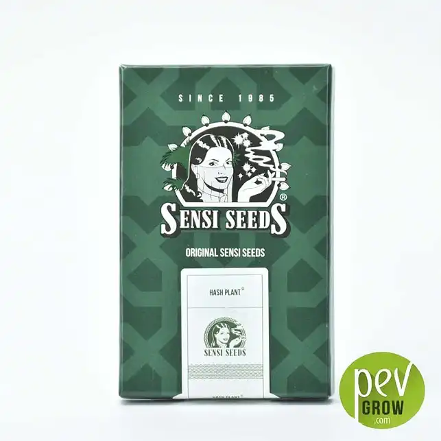 Packaging Hash Plant Sensi Seeds