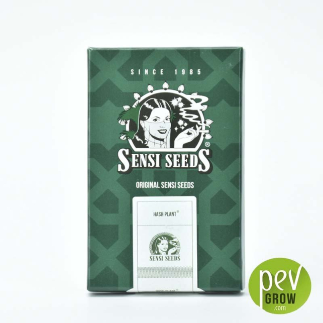 Hash Plant® - Sensi Seeds