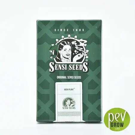 Packaging Hash Plant Sensi Seeds
