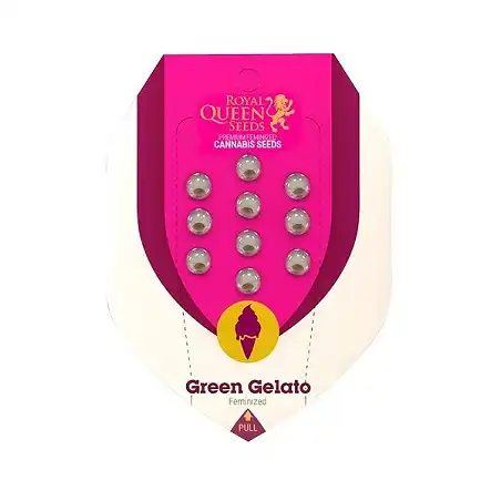 Green Gelato - Royal Queen Seeds 2