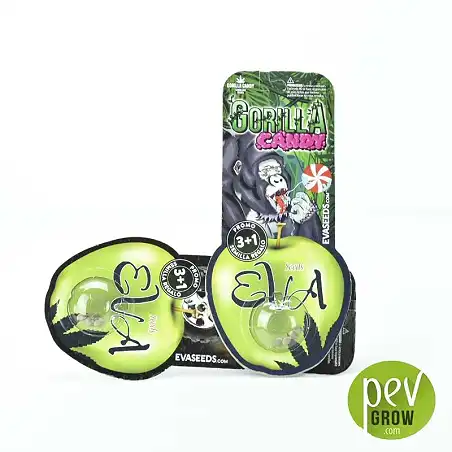 Gorilla Candy 3 semillas Eva Seeds