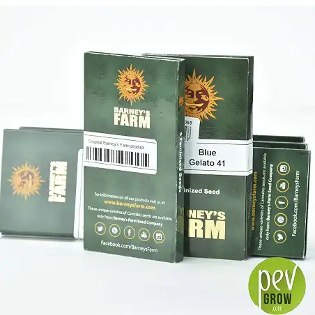 Blue Gelato 41 Packaging - Barneys Farm