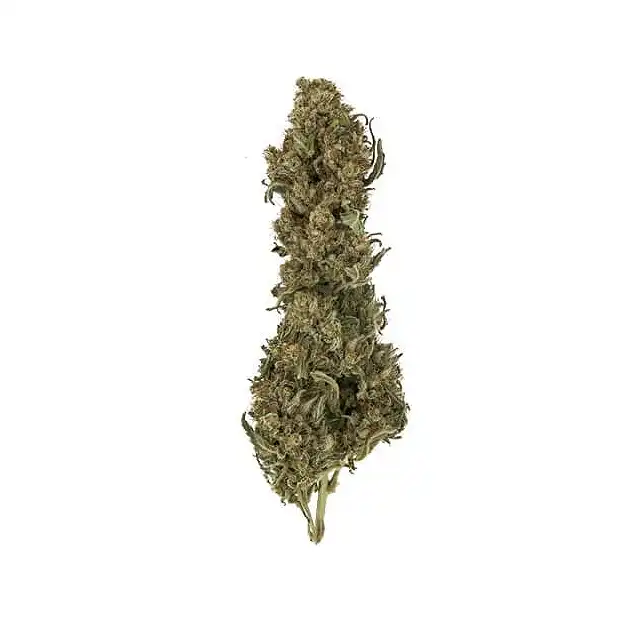 Royal Medic - Royal Queen Seeds