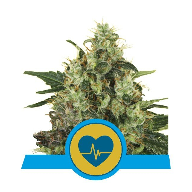 Medical Mass