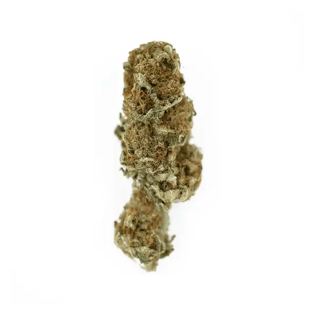 Euphoria - Royal Queen Seeds