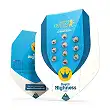Royal Highness - Royal Queen Seeds Royal Highness - Royal Queen Seeds