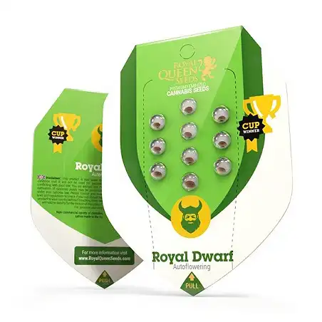 Royal Dwarf - Royal Queen Seeds 1