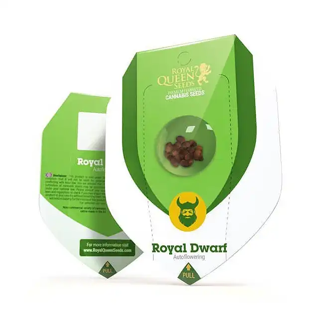 Royal Dwarf - Royal Queen Seeds 2